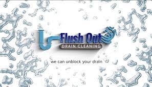 Flush Out logo